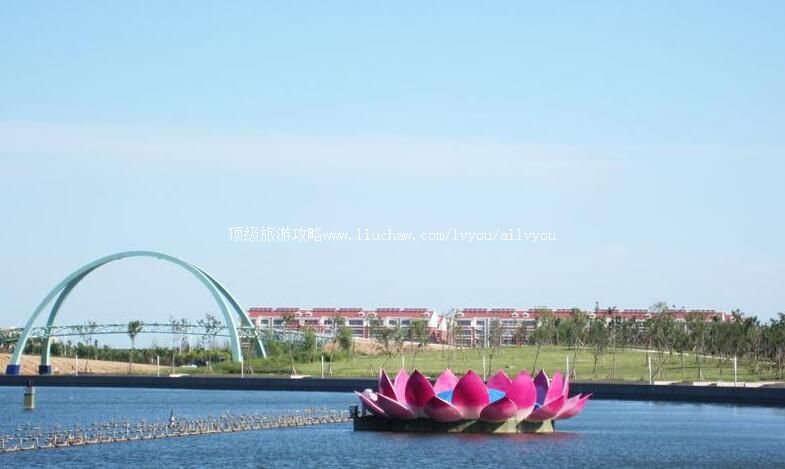 3A山东东营鸣翠湖湿地风景区旅游攻略