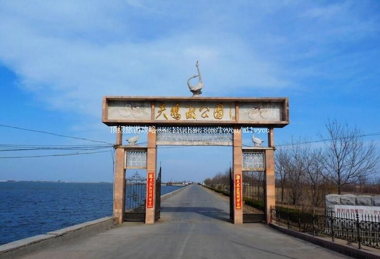 3A山东东营龙悦湖天鹅湖旅游攻略