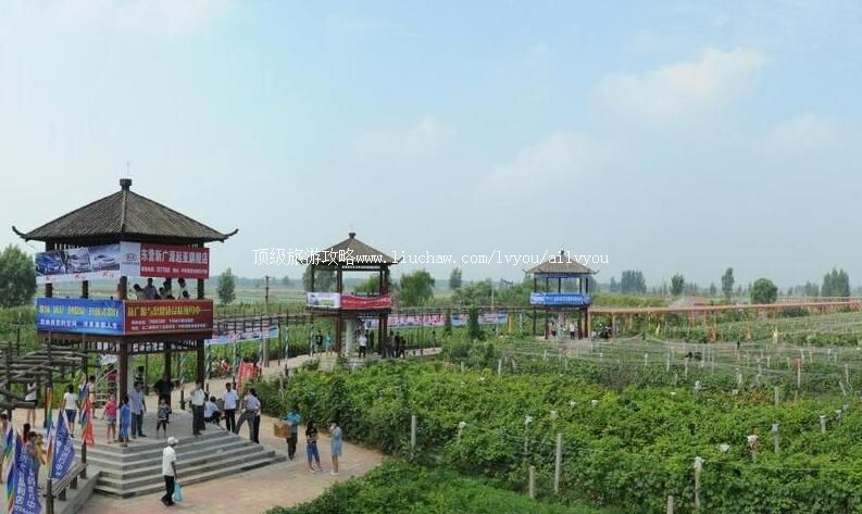 3Aɽ����Ӫ�ƺ��뺣����̬ũҵ�۹�԰���ι���