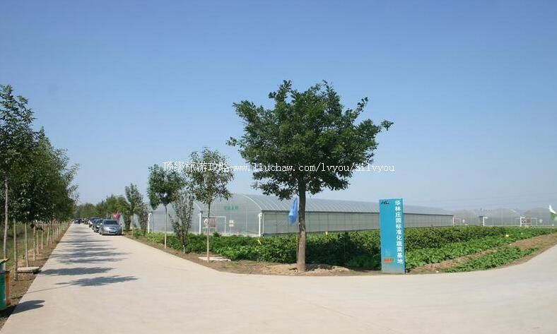 3Aɽ����Ӫ����ׯ԰���ι���