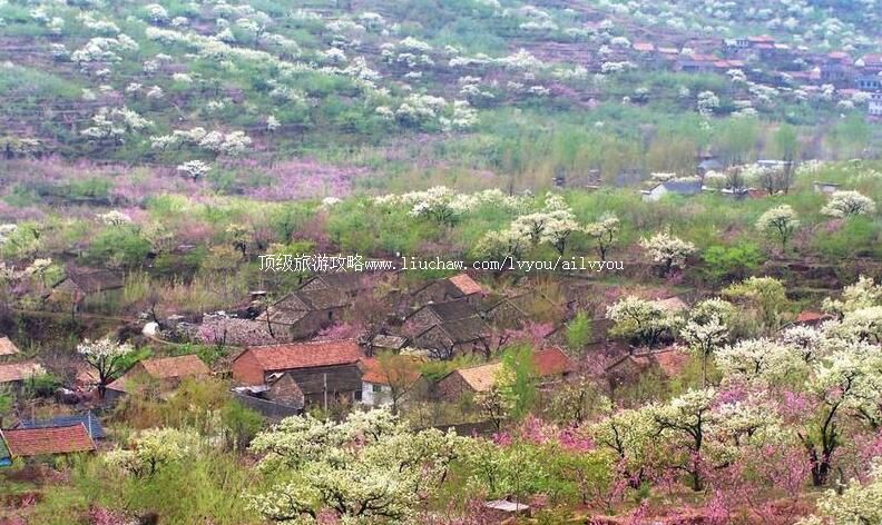 4Aɽ��ƽ�ؾż��ﾰ�����ι���