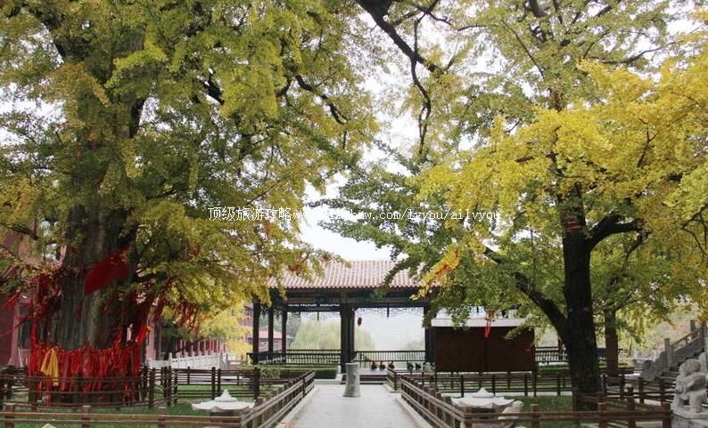 3A山东沂水云水禅景区旅游攻略