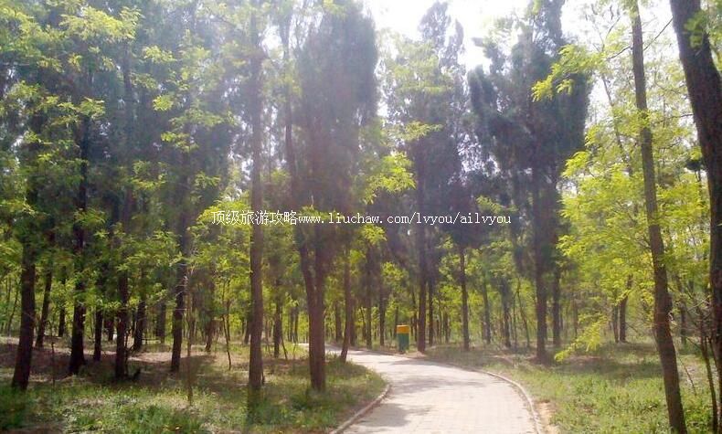 3A山东德州夏津槐林狩猎场旅游攻略