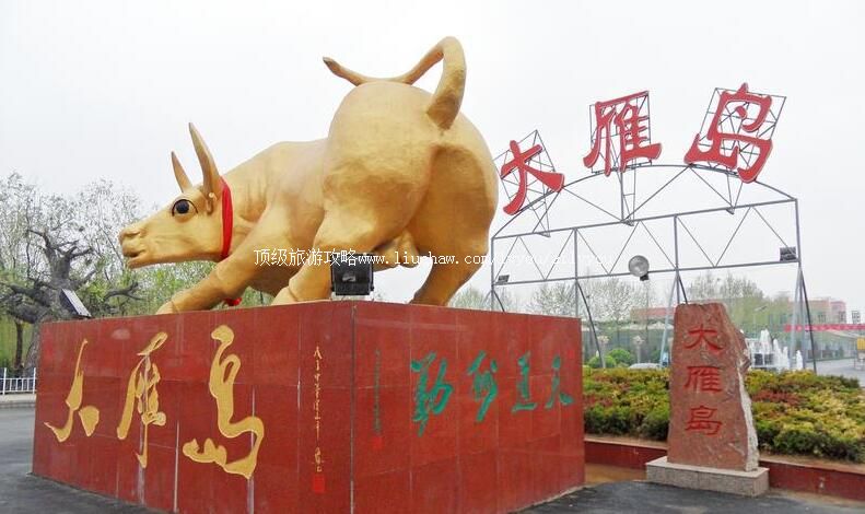 3A山东德州大雁岛生态园旅游攻略