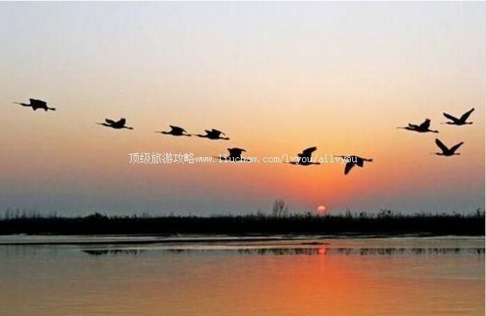 2A河南中牟雁鸣湖景区旅游攻略