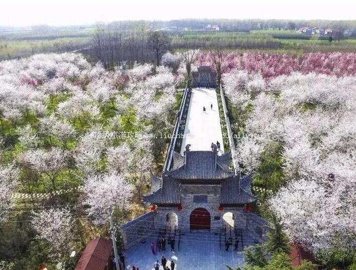 4A��������۳��������̬���������ι���