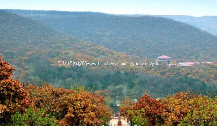 2A������������ɽ���ι���