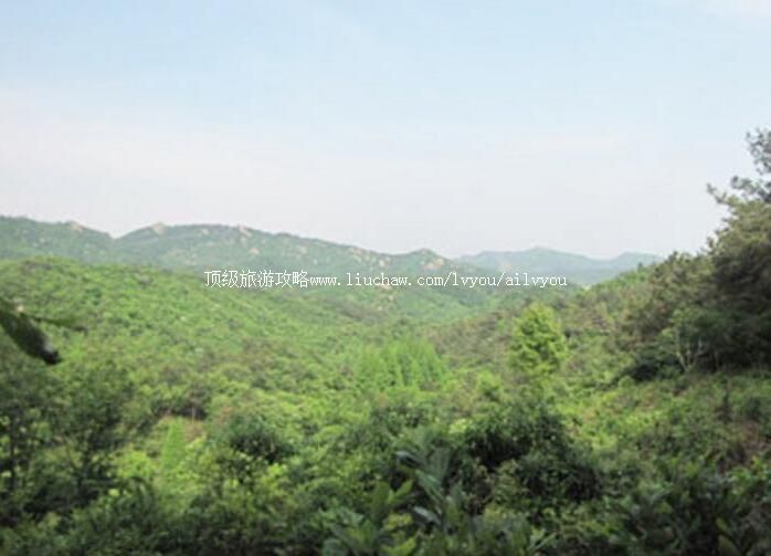 河南董寨国家级自然保护区旅游攻略