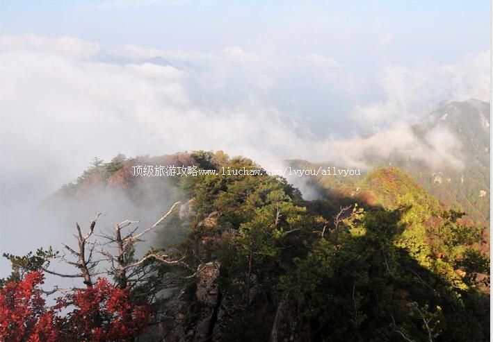 ����С������Ҽ���Ȼ���������ι���