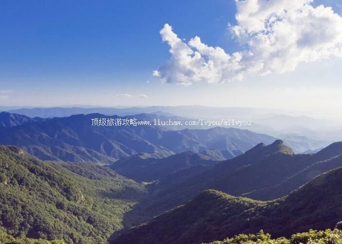 4A��������Ͽ��ɽ����ɭ�ֹ�԰���ι���