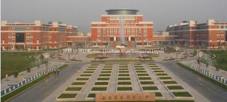 ��������ũ�ֿƼ���ѧУ԰������ι���