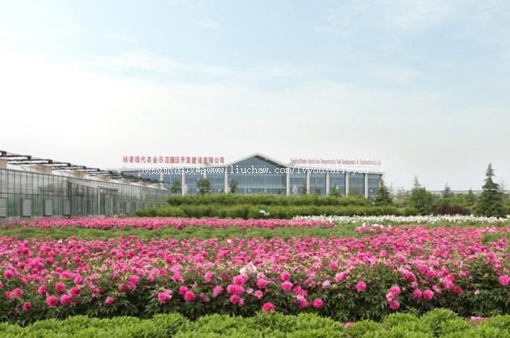 4A陕西杨凌现代农业示范园创新园旅游攻略