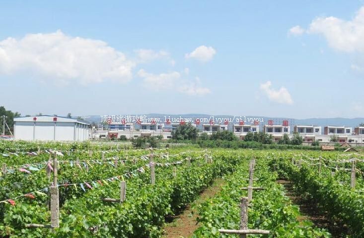 4A陕西淳化咀头休闲农业体验地旅游攻略