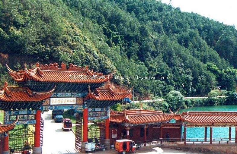 2A云南易门龙泉森林公园旅游攻略