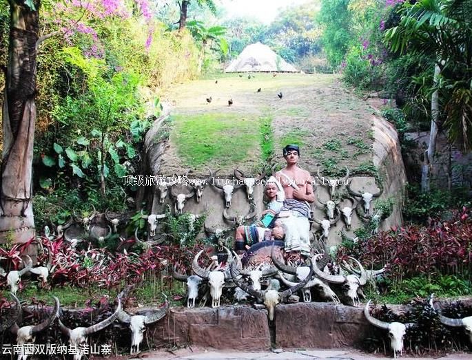 ������˫���ɻ�ŵɽկ���ι���