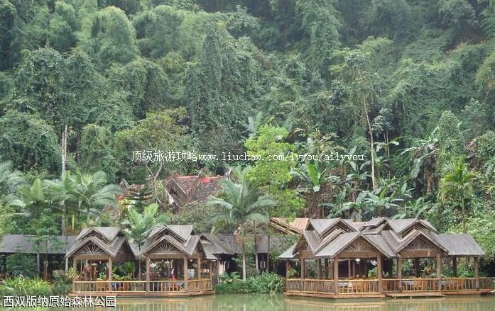 4A������˫����ԭʼɭ�ֹ�԰���ι���