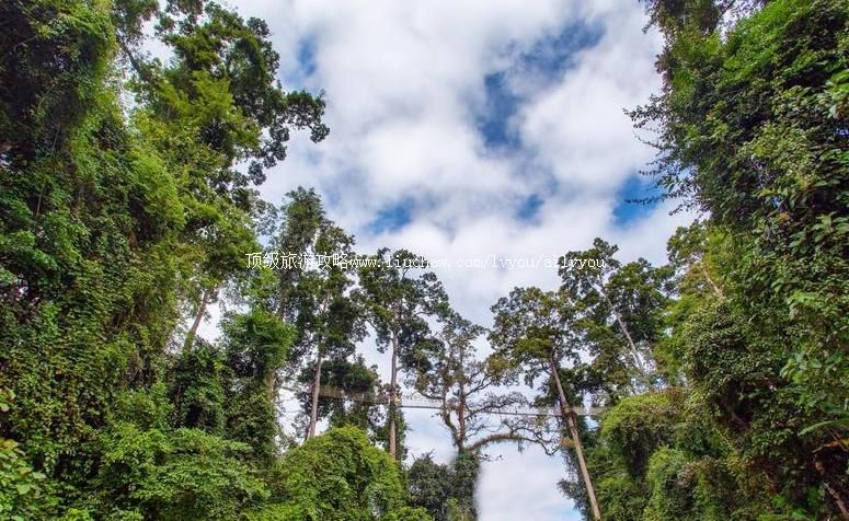 4A������˫�����������������ι���