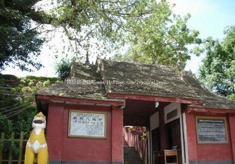 2A�����º�����˽�ͤ���ι���