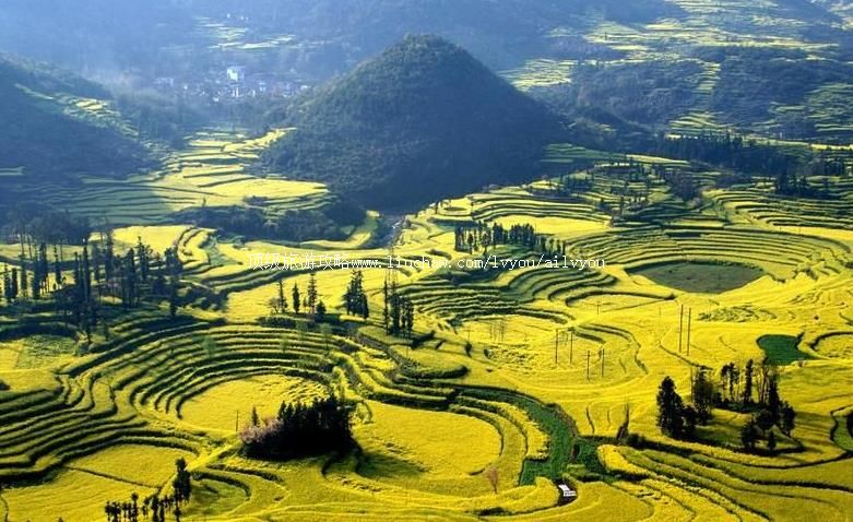 ������ƽ�Ͳ˻������ι���