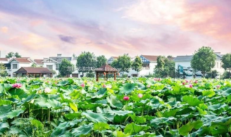 4A������������ˮ�羰�����ι���