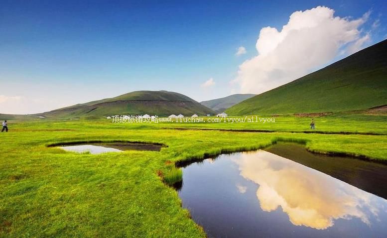 4A云南曲靖会泽大海草山旅游攻略