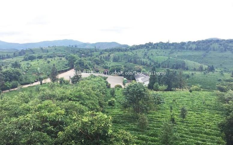 3A�����ն��л��ն��販��Է���ι���