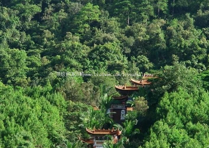 1A云南思茅小黑江森林公园旅游攻略