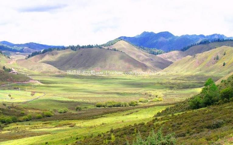 云南兰坪罗古箐风景区旅游攻略