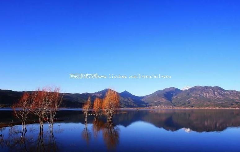 云南拉市海旅游攻略