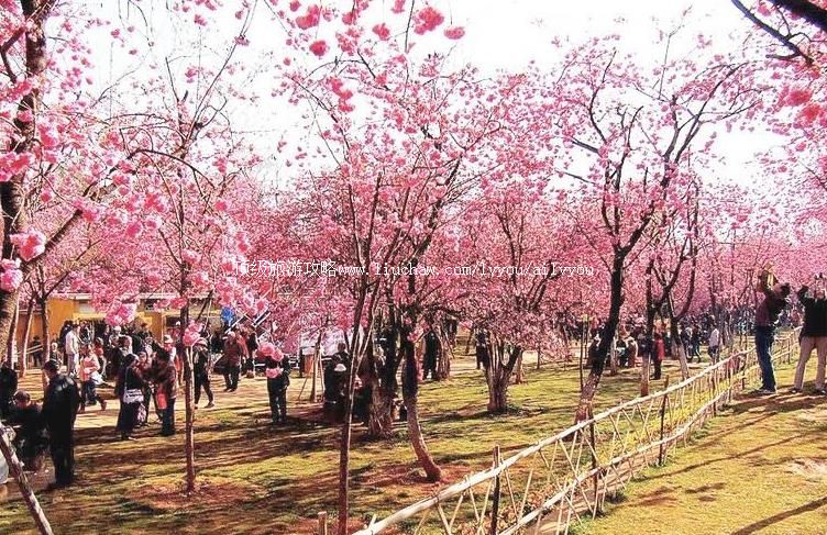 ��������Բͨɽ���ι���