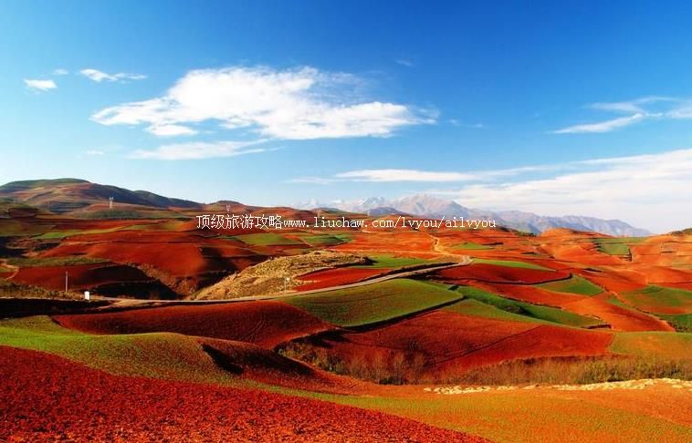 ���������������������ι���