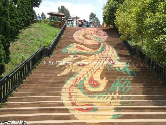 4A云南野生动物园旅游攻略