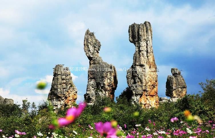 4A云南昆明乃古石林旅游攻略