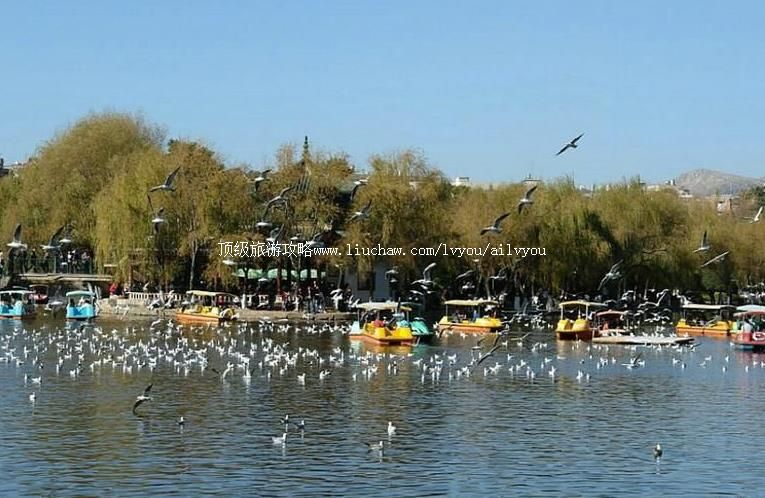 4A云南昆明翠湖·讲武堂景区旅游攻略