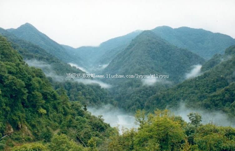 ���ϻ���ɽ���Ҽ���Ȼ���������ι���