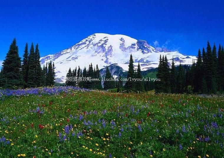 4A����÷��ѩɽ���ι���