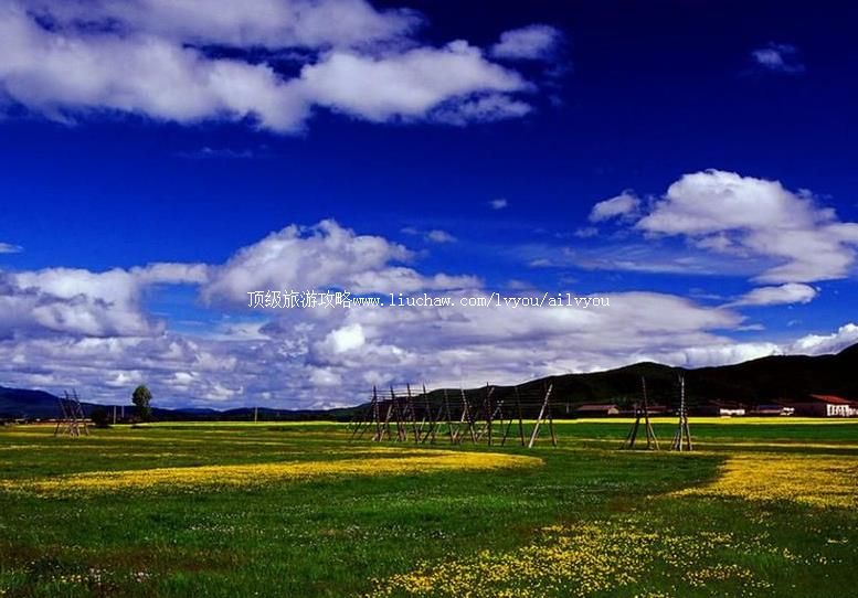 3A云南中甸纳帕海旅游攻略