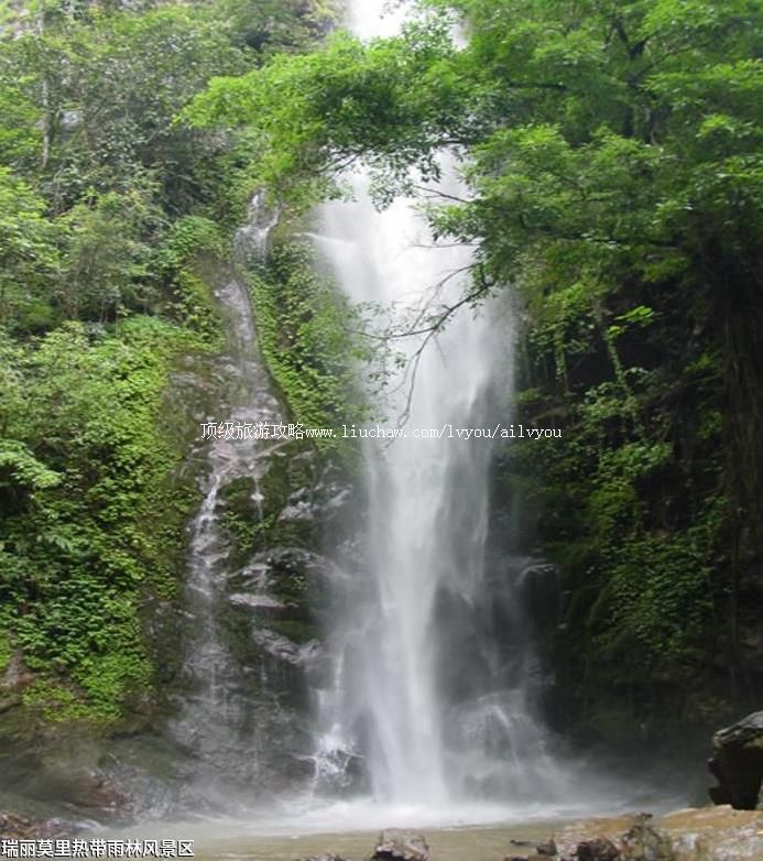 4A云南瑞丽莫里热带雨林风景区旅游攻略