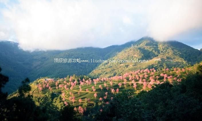 云南无量山国家级自然保护区旅游攻略