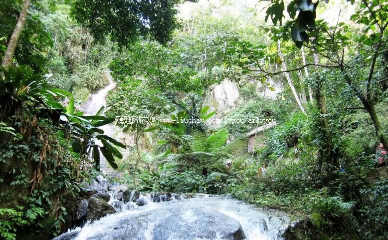 �����ڳ�ӣ�������ι���