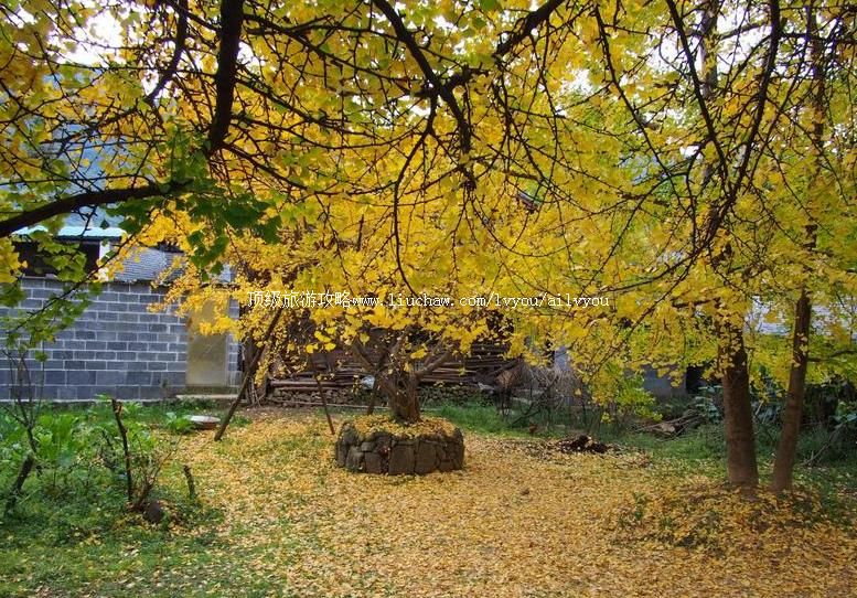 �����ڳ����Ӵ����ι���