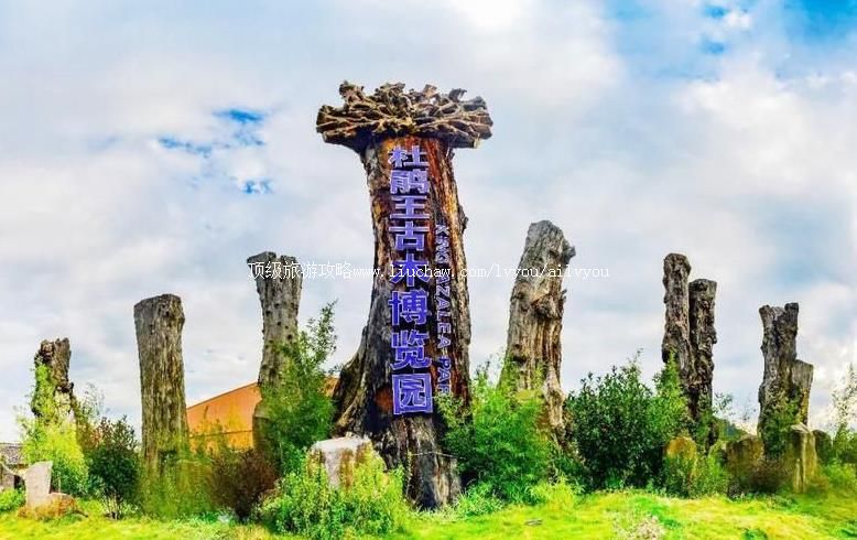 4A云南腾冲杜鹃王珍奇古木文化博览园旅游攻略