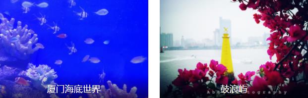 ��������-����������4����·