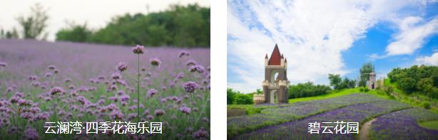 嘉兴小众1日线路