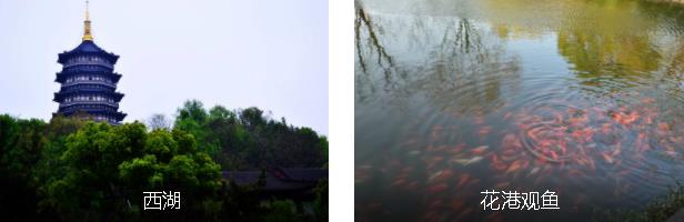 ��������2����·