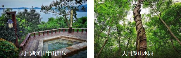 天目湖温泉+南山树海2日线路