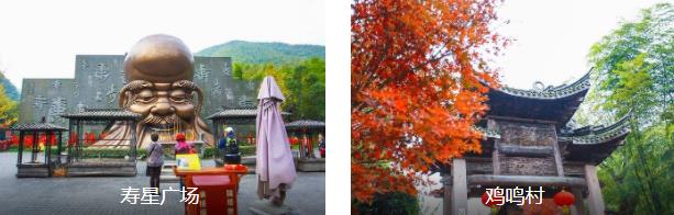 常州清新竹海1日线路