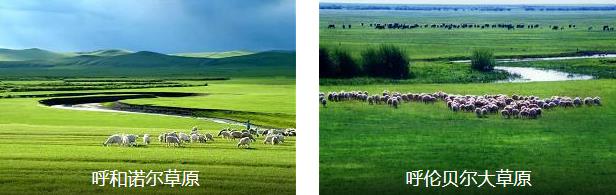 呼伦贝尔草原风情5日线路