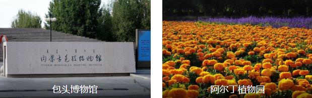 来场说走就走的旅行,包头两日游