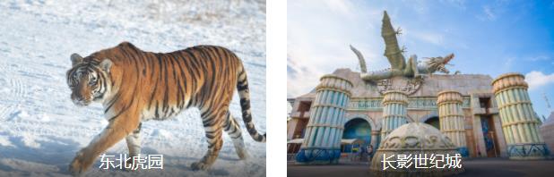 长春亲子1日线路